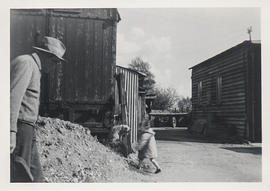 Albert Townsend at his Castle View farm, Bridge Street