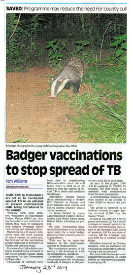 Badgers in Oxfordshire to be vaccinated against TB