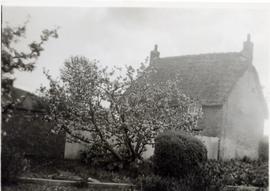 Sweet Briar Cottage when it was thatched