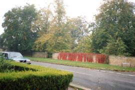 Summer & autumn Virginia creeper over Bampton Manor wall 1988