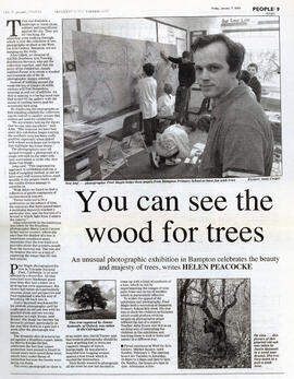 You can see the wood for the trees - 2003