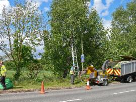 Branches being cut back on Bridge Street May 9th 2011