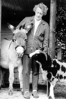 Margorie Pollard Obe With Her Donkey Jessica & One Of Her Jacob'S Sheep