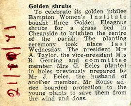 WI golden jubilee: Purchase of Golden Eleagnus shrubs