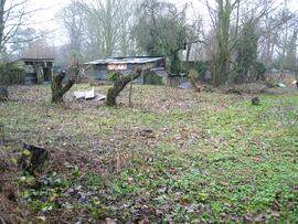 Allotments at the end of Cheyne Lane cleared ready for using.