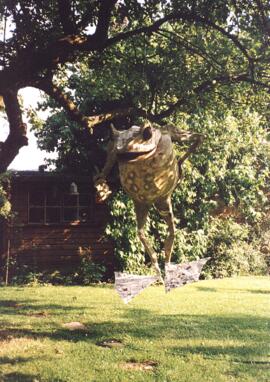 Garden at Sandford Cottage 1990-1993