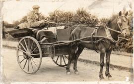 Albert Townsend with his pony and trap