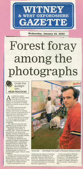 Forest foray among the photographs