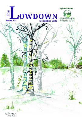 December  issue 15 Bampton Lowdown