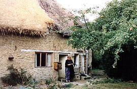 Thatching Sandfords Cottage 1989 (J.L.)
