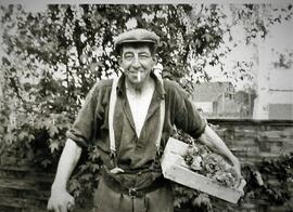 Reg Rouse with box of homegrown veg