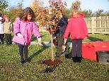 Bampton Primary School activities over the years