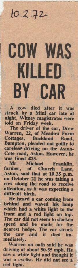1972 Cow Killed By Car Driven By Drew Warren