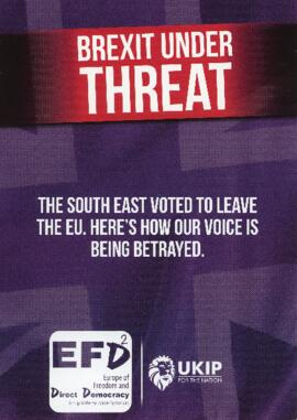Flyer from UKIP to households via postman