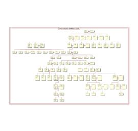 Family tree-Descendants of William Lock