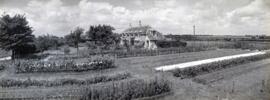 Beam Cottage