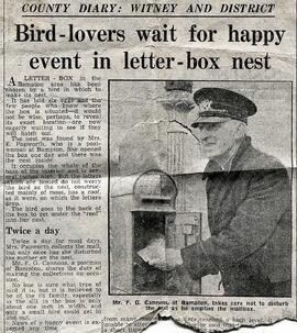 Blackbird nests in a letter box - early 1970s