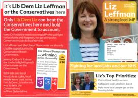 By-election 2016 flyers