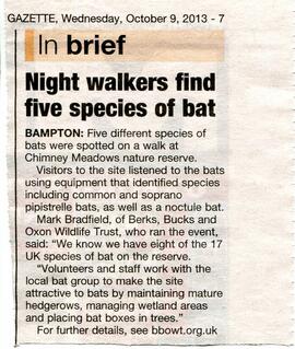 Five Species Of Bat Found At Chimney Meadows