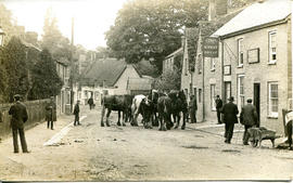 Horse Fair taken outside the Wheat Sheaf Inn in Bridge Street 1925